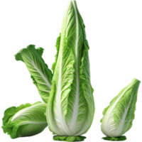 grön romaine sallad 3d illustration. ai generativ png