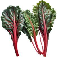 Red Swiss chard 3D illustration. AI Generative png