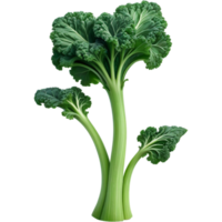 Curly green kale 3D illustration. AI Generative png