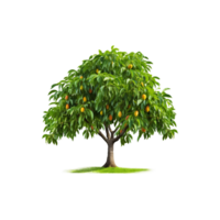 Peach Tree  ai generated png