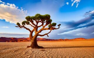 solitario centinela, un cautivador retrato de un solitario árbol en medio de el expansivo abrazo de el Desierto desierto. ai generado foto