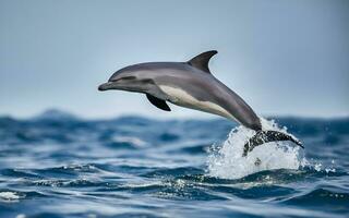 Capturing the Elegance, A Close Encounter with a Dolphin's Graceful Leap from the Ocean Depths. AI Generated photo