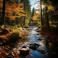 Forest hikes, scenic trails, autumn colors, nature photo