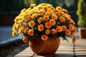 Spacious pots hold vibrant orange Chrysanthemums textfriendly backdrop, bold contrast AI Generated photo