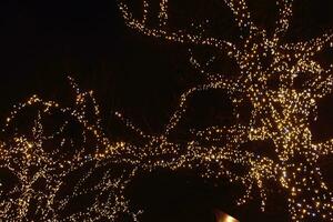 Light colored Christmas decorations at night the streets of Warsaw, Poland photo