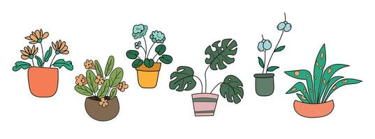 Set of indoor plants on a white background. vector