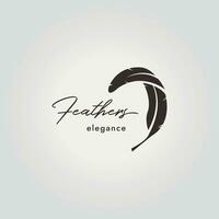 typography of feathers logo icon, illustration of plumage design vector