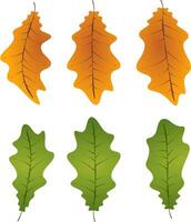 otoño hojas follaje caído gráfico ilustrado colores naranja verde png vector