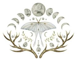 Mystical luna Moth with Moon phases. Watercolor illustration of a night butterfly with white wings. Hand drawn clipart set on isolated background. Drawing of celestial magical composition for prints vector