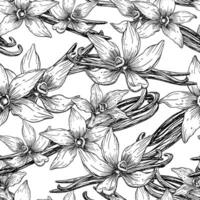 Vanilla Flowers seamless Pattern. Hand drawn floral vector illustration of orchids and sticks. Sketch of food spice or ingredient for essential oil for wrapping paper on white isolated background.