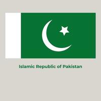 el Pakistán bandera vector