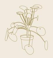 pilea casa planta línea Arte ilustración. escandinavo acogedor hogar decoración silueta símbolo. plano vector dibujos animados icono ilustración de casa planta aislado.