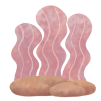 rosado coral y rock png