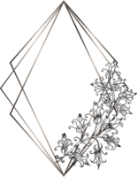 geometrisk krans ram med blommig. png