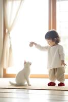 A toddler is happily playing with a kitten photo