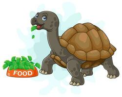 Cartoon turtle isolated on white background vector