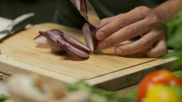 Professional chef prepares and cuts red onion. Close up slow motion video