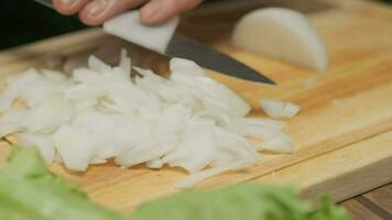 Fachmann Koch bereitet vor und schneidet Weiß Zwiebel. schließen oben schleppend Bewegung video