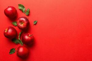 Many red apples on colored background, top view. Autumn pattern with fresh apple above view with copy space for design or text photo