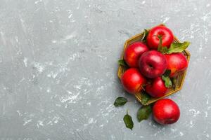 Many red apples on colored background, top view. Autumn pattern with fresh apple above view with copy space for design or text photo