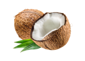 noix de coco png transparent Contexte