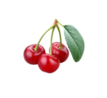 cherry png transparent background