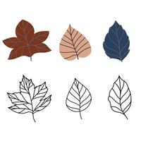 Set of vector illustration of leaves of maple, oak, birch in cozy autumn colors. Isolated objects for scrapbooking, textile or book covers, wallpapers, design, graphic art, printing, hobby, invitation