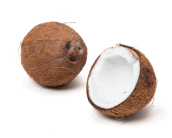 Noce di cocco png trasparente sfondo