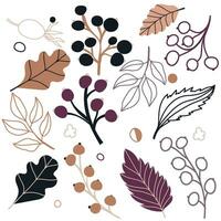 Set of flat isolated illustration of leaves and berries in cozy autumn colors. colored flat vector decor for scrapbooking, textile or book covers, wallpapers, graphic art, printing, hobby, invitation