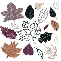 Set of vector illustration of leaves of maple, oak, birch in cozy autumn colors. Isolated objects for scrapbooking, textile or book covers, wallpapers, design, graphic art, printing, hobby, invitation