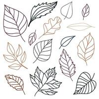 Set of vector outline illustration of leaves of maple, oak, birch in cozy autumn colors. objects for scrapbooking, textile or book covers, wallpapers, design, graphic art, printing, hobby, invitation