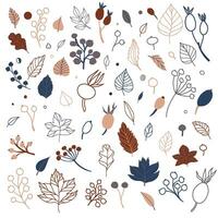 Set of flat isolated illustration of leaves and berries in cozy autumn colors. colored flat vector decor for scrapbooking, textile or book covers, wallpapers, graphic art, printing, hobby, invitation