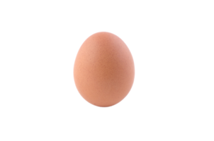 egg png transparent background