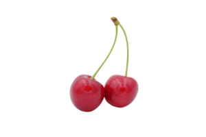 Cereza png transparente antecedentes