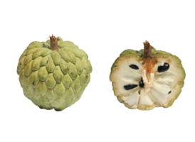 custard apple png transparent background