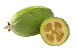 Feijoa png transparent background