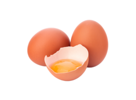 egg png transparent background