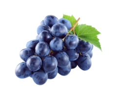 uvas png transparente fundo