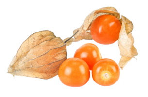 physalis PNG transparant achtergrond