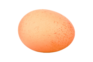 uovo png trasparente sfondo