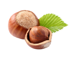 Hazelnut png transparent background