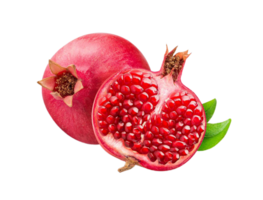 pomegranate png transparent background