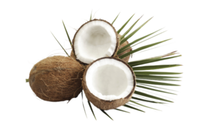 kokosnoot PNG transparant achtergrond