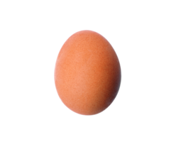 egg png transparent background