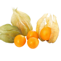 physalis png trasparente sfondo