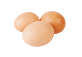 egg png transparent background