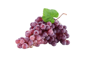 Grapes png transparent background