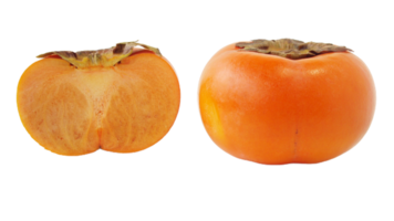 fuyu persimmon png transparent background