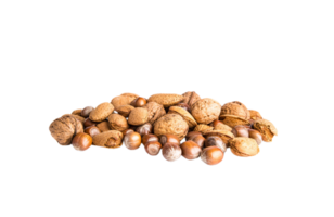 Hazelnut png transparent background