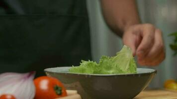 profesional cocinero prepara y lavados repollo hojas. lento movimiento video